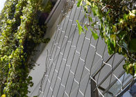 70x120mmの緑植物の上昇のための適用範囲が広く装飾的なステンレス鋼 ワイヤー ロープの網