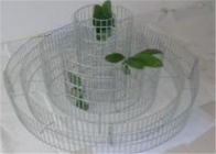 溶接されたGabionは螺線形/花の野菜のためのリング三倍のの庭のベッドを上げました