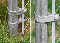 120mm 1-3/8の」電流を通された鋼鉄張力バンド・チェーン リンク塀の付属品