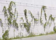 7 x 19ステンレス鋼 ワイヤー ロープの網のフェルールの建築の植物の格子垣の緑の壁ケーブルの網