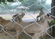 動物保護のステンレス鋼の飼鳥園の網/反錆を囲う動物園の金網