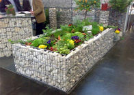 花および野菜を植えるための溶接されたGabionsによって上げられる庭のベッド
