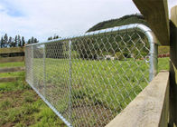 動物のシカ牧場エンクロージャのための耐久のチェーン・リンクの網の塀のゲート