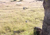 電流を通された表面のラチェットの農場の塀ワイヤー テンショナー