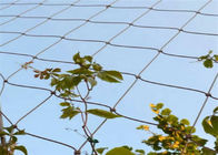 7x7 2-3mmのSs304ステンレス鋼 ワイヤー ロープの網の植物の上昇