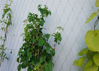 庭の格子垣の植物7x7 1.6mmのFerruled上昇の網